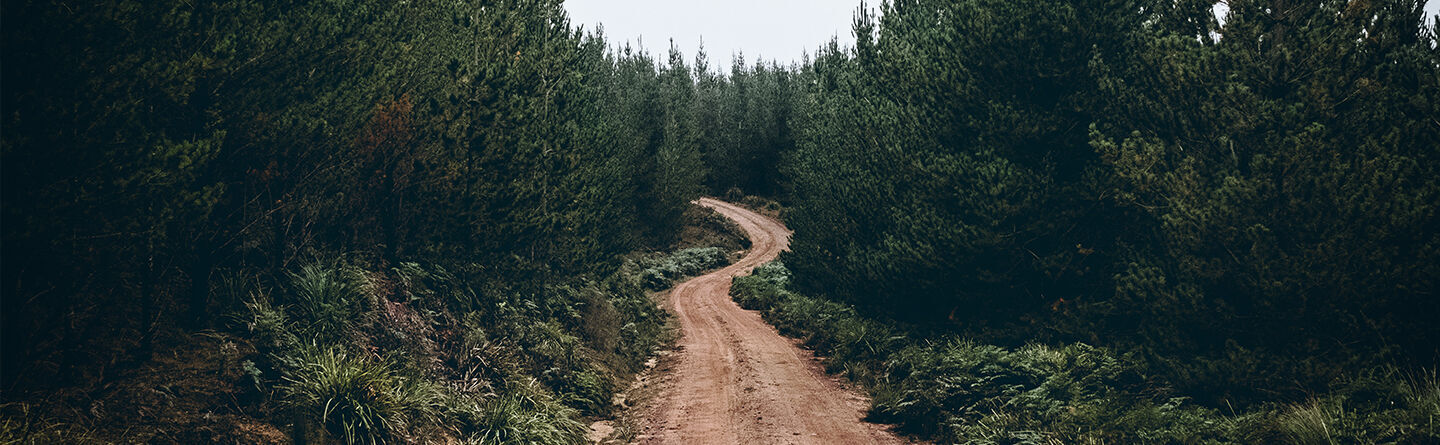 blog header