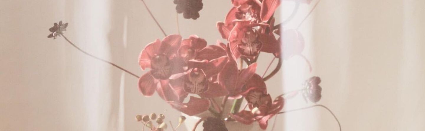 blog header