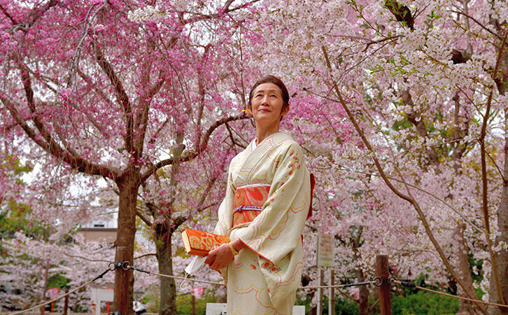 The beautifully simple Japanese tradition of Hanami, also known as “flower viewing” 